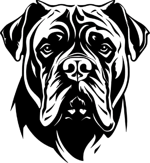 rubencanecorsoguest.com