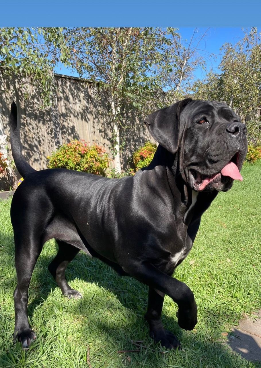Zeus