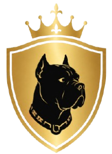 Ruben Cane Corso Guest